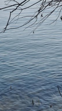 Mantova, İtalya - 04 Mart 2023: Mantova kenti yakınlarındaki Mencio Gölü 'nden güzel manzara. Kışın sakin ve berrak dalgalar.