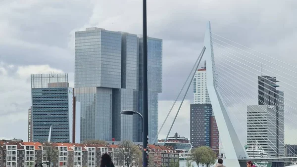 Rotterdam Netherlands Nisan 2023 Güzel Bir Bahar Gününde Şehir Merkezinde — Stok fotoğraf