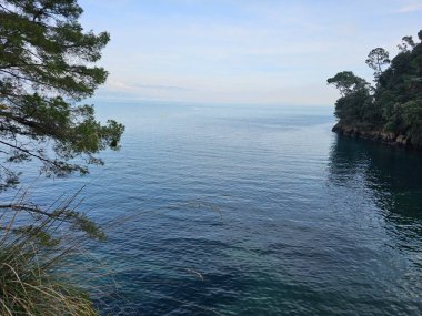 Portofino, İtalya - 18 Şubat 2024: Portofino parkından güzel kış manzarası. Dağın eteğindeki küçük marina limanında güzel renkli evler köyü var..