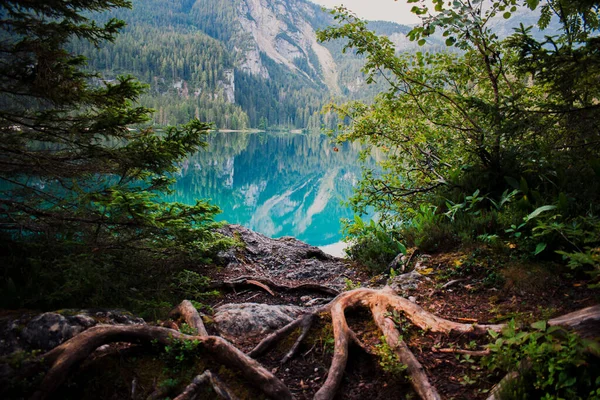 Krásný Výhled Jezero Tovel — Stock fotografie