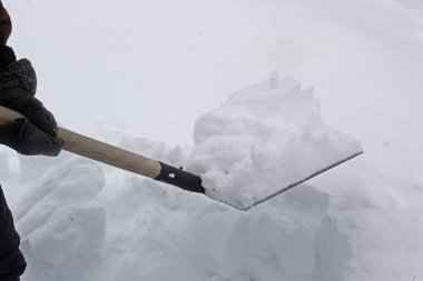 A man removes snow with a shovel from the garden path. Snow shovel.