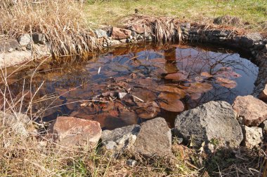 Terk edilmiş küçük bir bahçe gölü ve geçen seneki çimenler.