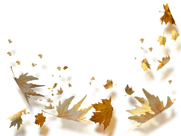 Leaves Falling Flying Isolated Wind Autumn Background Dry Yellow Brown — Stock Photo, Image