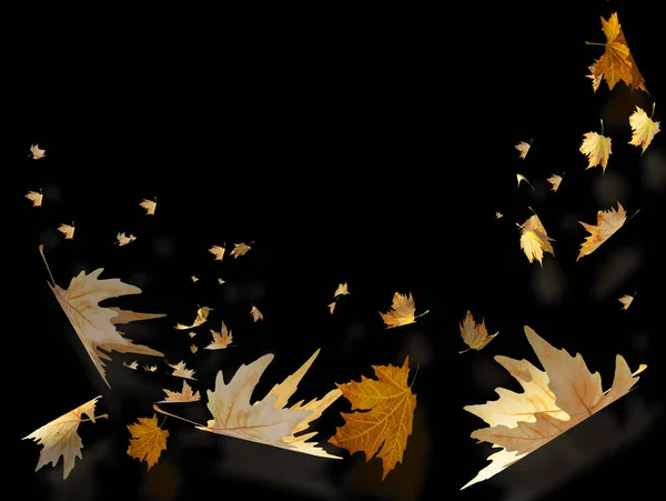 Листя Падає Літаючим Ізольовано Вітрі Осіннього Фону Сухий Жовтий Коричневий — стокове фото
