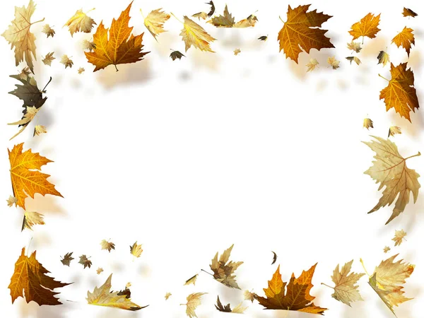 Autumn Leaves Falling Rectangle Square Frame Isolated Background Space Your — Stock Photo, Image