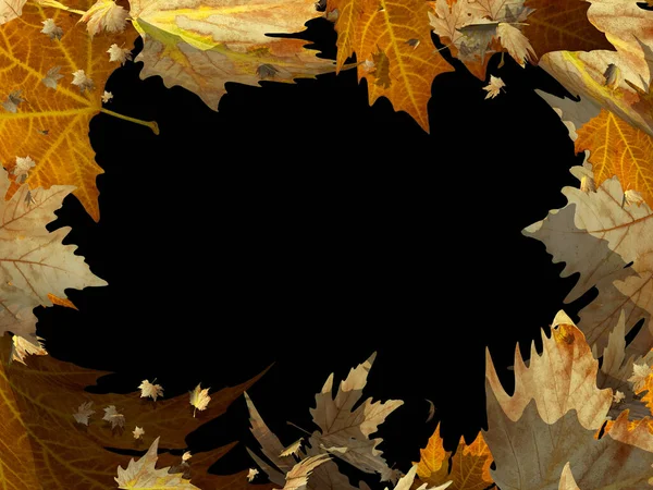 Autumn Leaves Rectangle Frame Isolated Space Your Text Message Rendering — Stock Photo, Image