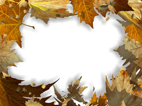 Outono Deixa Quadro Retângulo Espaço Isolado Para Sua Mensagem Texto — Fotografia de Stock