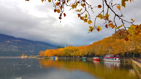 Ioannina Πόλη Κατά Χειμερινή Περίοδο Κίτρινα Πλατάνια Δίπλα Στη Λίμνη — Φωτογραφία Αρχείου