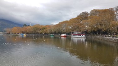 Kış mevsiminde ioannina şehrinde göl kenarında sarı platanus ağaçları, kuzey Yunanistan rıhtımında gemiler taşır.