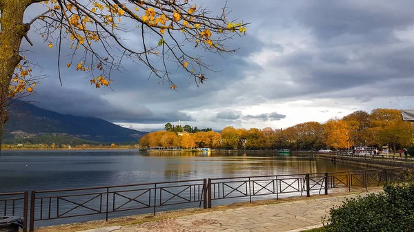 Ioannina Cidade Inverno Temporada Com Platanus Amarelo Árvores Lado Lago — Fotografia de Stock