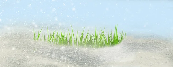 change spring winter to spring snow ice flowers sun popies daisies space for your text background