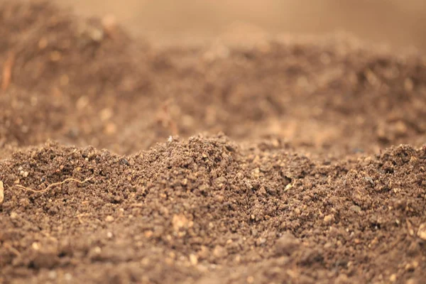 Soil Planting Backgorund Isolated Macro Fresh Brown Blur — Stock Photo, Image