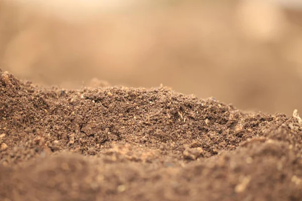 Toprak Ekimi Izole Edilmiş Makro Taze Kahverengi Bulanıklık — Stok fotoğraf
