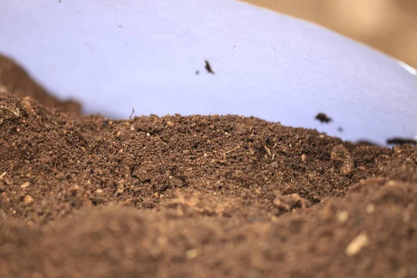Toprak Ekimi Izole Edilmiş Makro Taze Kahverengi Bulanıklık — Stok fotoğraf