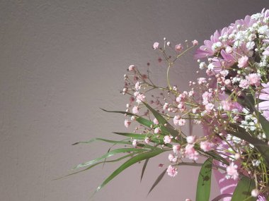 bir buket pembe çiçek zerbera yeşil arka plan için izin 