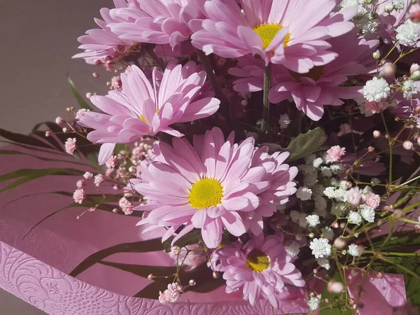 Strauß Rosa Blüten Zerbera Grüne Blätter Für Blühenden Hintergrund — Stockfoto