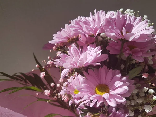 Strauß Rosa Blumen Zerbera Grün Für Hintergrund — Stockfoto