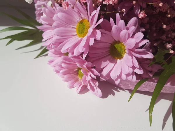 Bouquet Pink Flowers Zerbera Green Leave Background — Stock Photo, Image