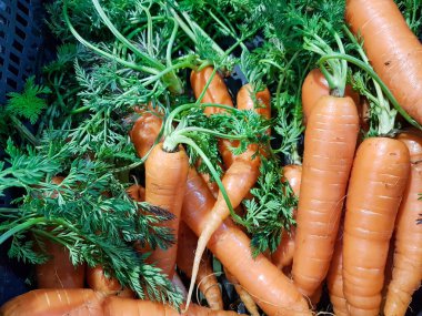 Süper market grubunda yeşil yapraklı havuçlar.