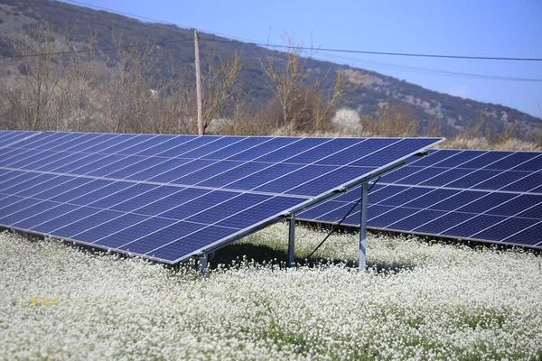 Bahar Çayırının Çiçekleri Üzerindeki Güneş Panelleri Mavi Gökyüzü Enerji Elektriği — Stok fotoğraf