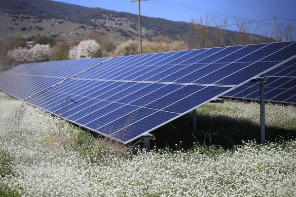 Bahar Çayırının Çiçekleri Üzerindeki Güneş Panelleri Mavi Gökyüzü Enerji Elektriği — Stok fotoğraf