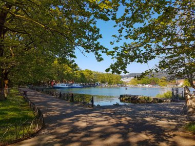 Pamvotis Gölü 'nün halka yolunda platanus ağaçları olan ioannina şehir gölü bölgesi.