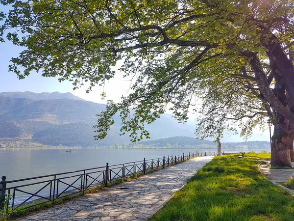 Ioannina Cidade Lago Área Com Platanus Árvores Anel Estrada Lago — Fotografia de Stock