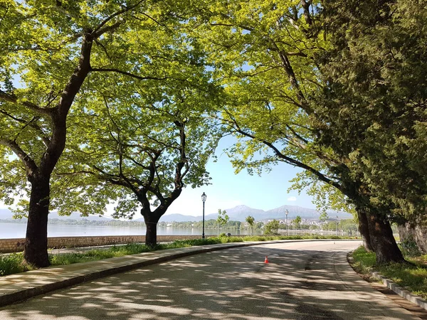 プラタナスの木があるイオアニナ市の湖の面積湖Pamvotisギリシャの環状道路 — ストック写真