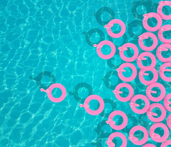 Flamingo Flamingo Turistleri Yaz Tatillerinde Arka Plandaki Yüzme Havuzu Için — Stok fotoğraf
