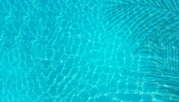 暑假游泳池浅蓝色的水和棕榈叶的阴影为背景 — 图库照片