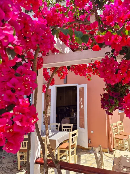 Preveza Stad Sommaren Grek Turist Alternativ Resort Gränder Byggnader Gator — Stockfoto