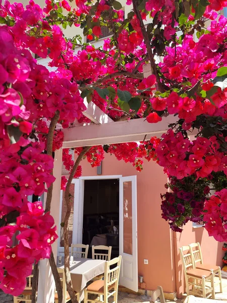 Preveza Stad Zomer Grieks Toeristische Alternatieve Resort Steegjes Gebouwen Straten — Stockfoto