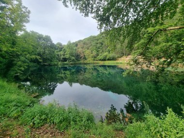Platanus ağaçlarının yeşil yaprakları Viros Gölü 'nde Louros Nehri' nin pınarlarında köydeki voulista ioannina Greek 