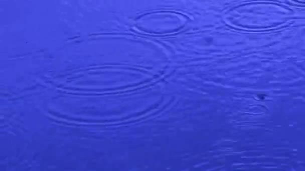 Dešťová Voda Pozadí Dešťové Vlny Cykly Počasí — Stock video