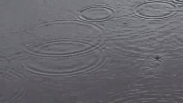 Regn Vatten Bakgrund Regn Ringar Cykler Väder — Stockvideo