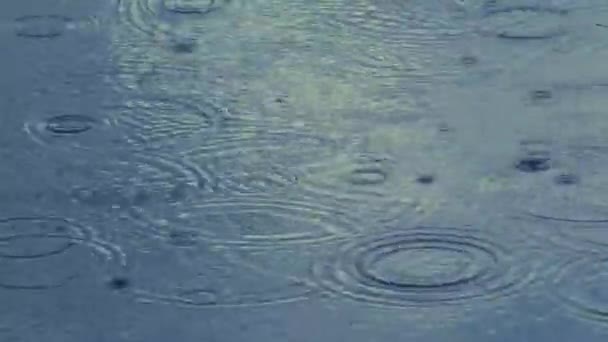 Pioggia Acqua Fondo Pioggia Increspature Cicli Tempo — Video Stock