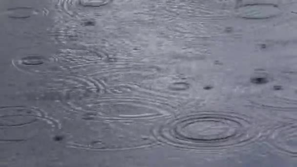 Regenwater Achtergrond Regen Rimpelingen Cycli Weer — Stockvideo