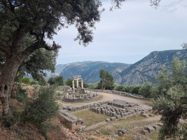 Yunan Delphi tapınağı Athena pronaia ve tholos antik Delphi bölgesi