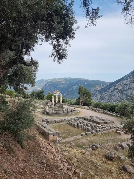 Yunan Delphi Tapınağı Athena Pronaia Tholos Antik Delphi Bölgesi — Stok fotoğraf