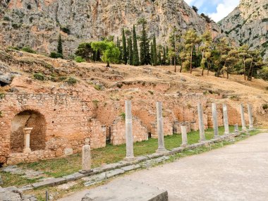 Delphi arkeolojik bölgesindeki agora sütunları
