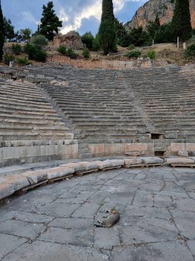 Yunan Delphi antik tiyatrosu 