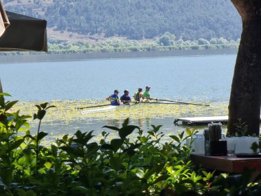 Kürek çeken kürekçiler yaz mevsiminde ioannina ağaçlarının altında Pamvotis Gölü 'nde antrenman yapıyorlar.