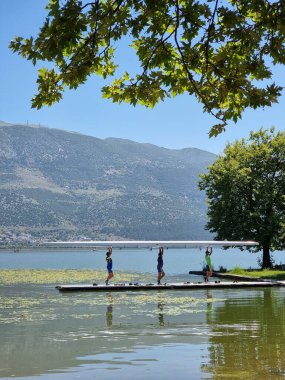 Kürek çeken kürekçiler yaz mevsiminde ioannina ağaçlarının altında Pamvotis Gölü 'nde antrenman yapıyorlar.