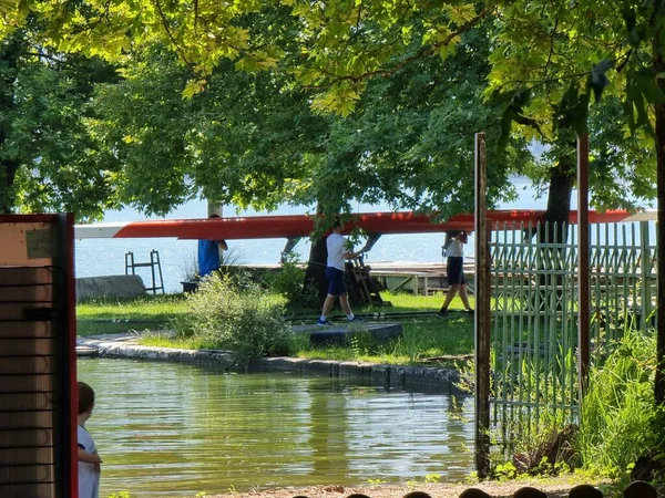 Ruderer Trainieren See Pamvotis Unter Den Bäumen Von Ioannina Der — Stockfoto