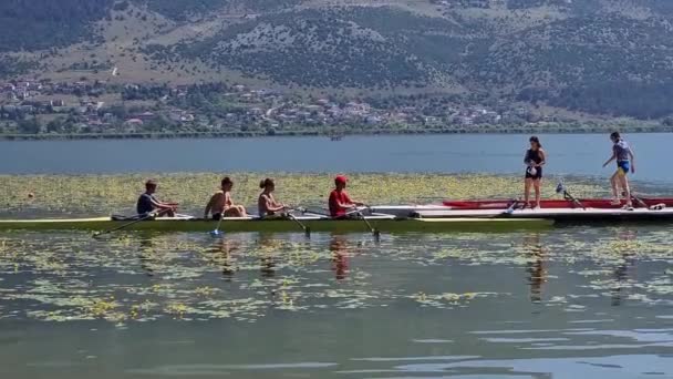 夏天希腊 划船运动员在燕麦树下的帕姆沃提斯湖中训练 — 图库视频影像