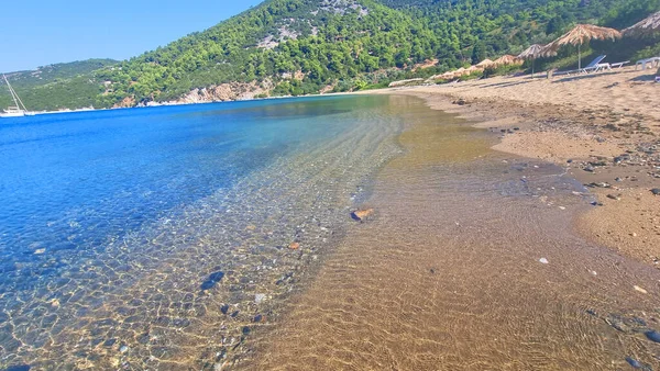 Skyros Skiros Ilha Pefkos Praia Pinheiros Lado Mar Verão Destino — Fotografia de Stock