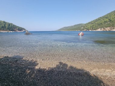 Gökyüzü ya da Skiros Adası, Pefkos plajı çam ağaçları, Yunan adalarında yaz mevsiminin yanında.