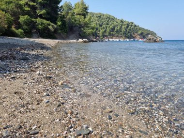 Gökyüzü ya da Skiros Adası, Pefkos plajı çam ağaçları, Yunan adalarında yaz mevsiminin yanında.