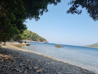 Gökyüzü ya da Skiros Adası, Pefkos plajı çam ağaçları, Yunan adalarında yaz mevsiminin yanında.