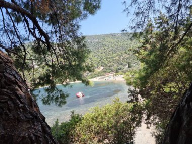 Gökyüzü ya da Skiros Adası, Pefkos plajı çam ağaçları, Yunan adalarında yaz mevsiminin yanında.